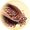 Flaxseeds