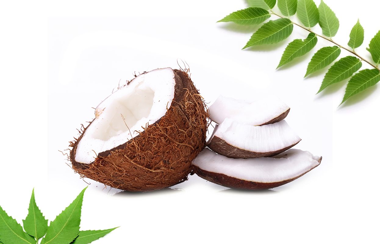 Neem and Coconut ingredients