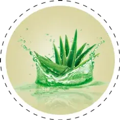 Aloevera_with_border