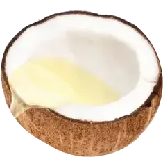 coconut