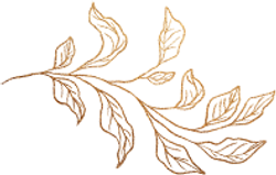 title-leaf