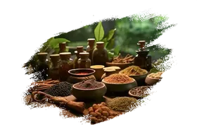 Traditional Ayurvedic Herbs