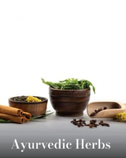 Ayurvedic Herbs