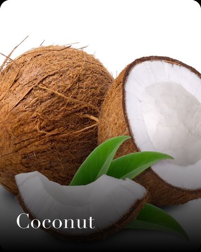 Coconut