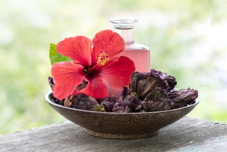 Hibiscus for Hair