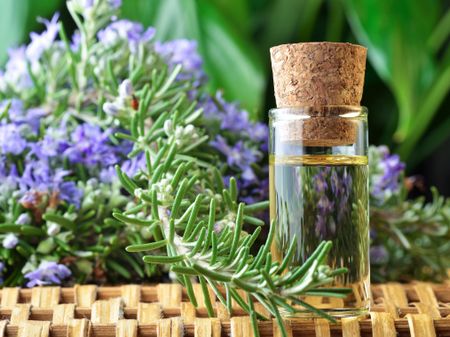 Rosemary oil benefits