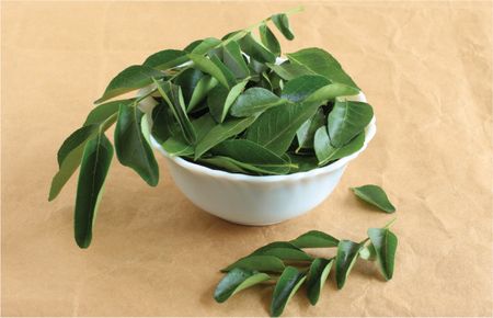 Benefits of Curry Leaves for Hair