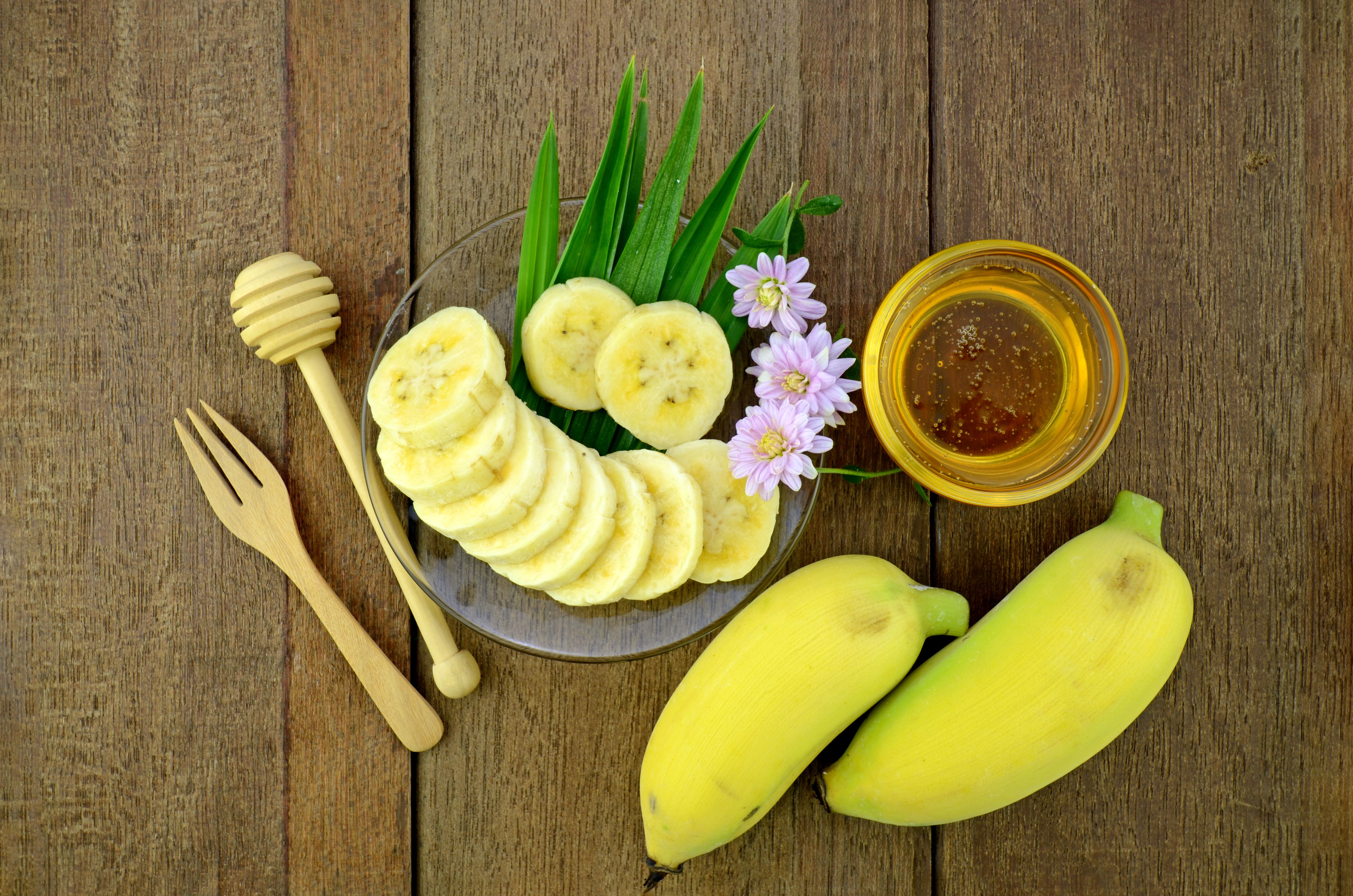 Basis Clinical Study, 2024