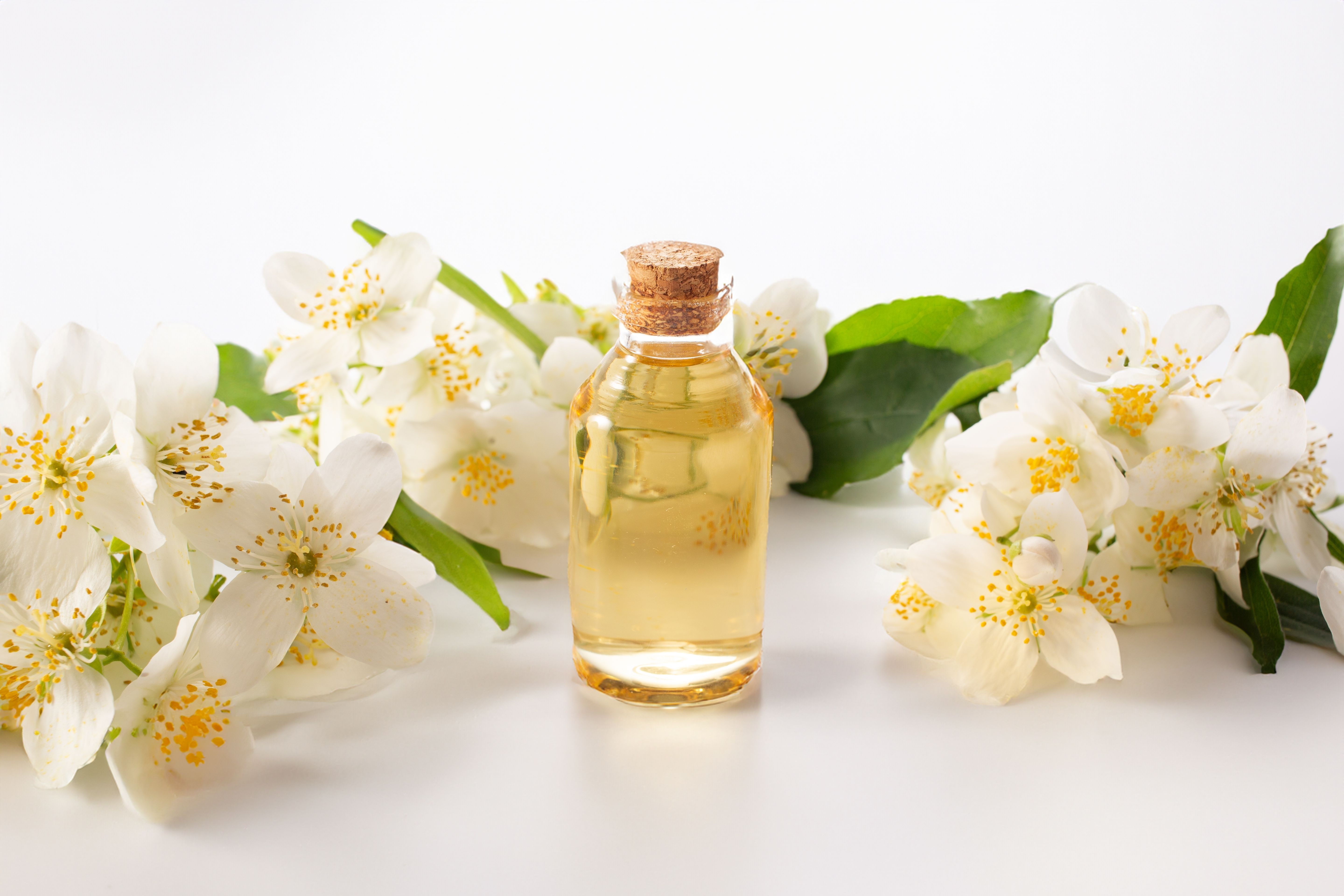  Benefits of Jasmine Oil for hair