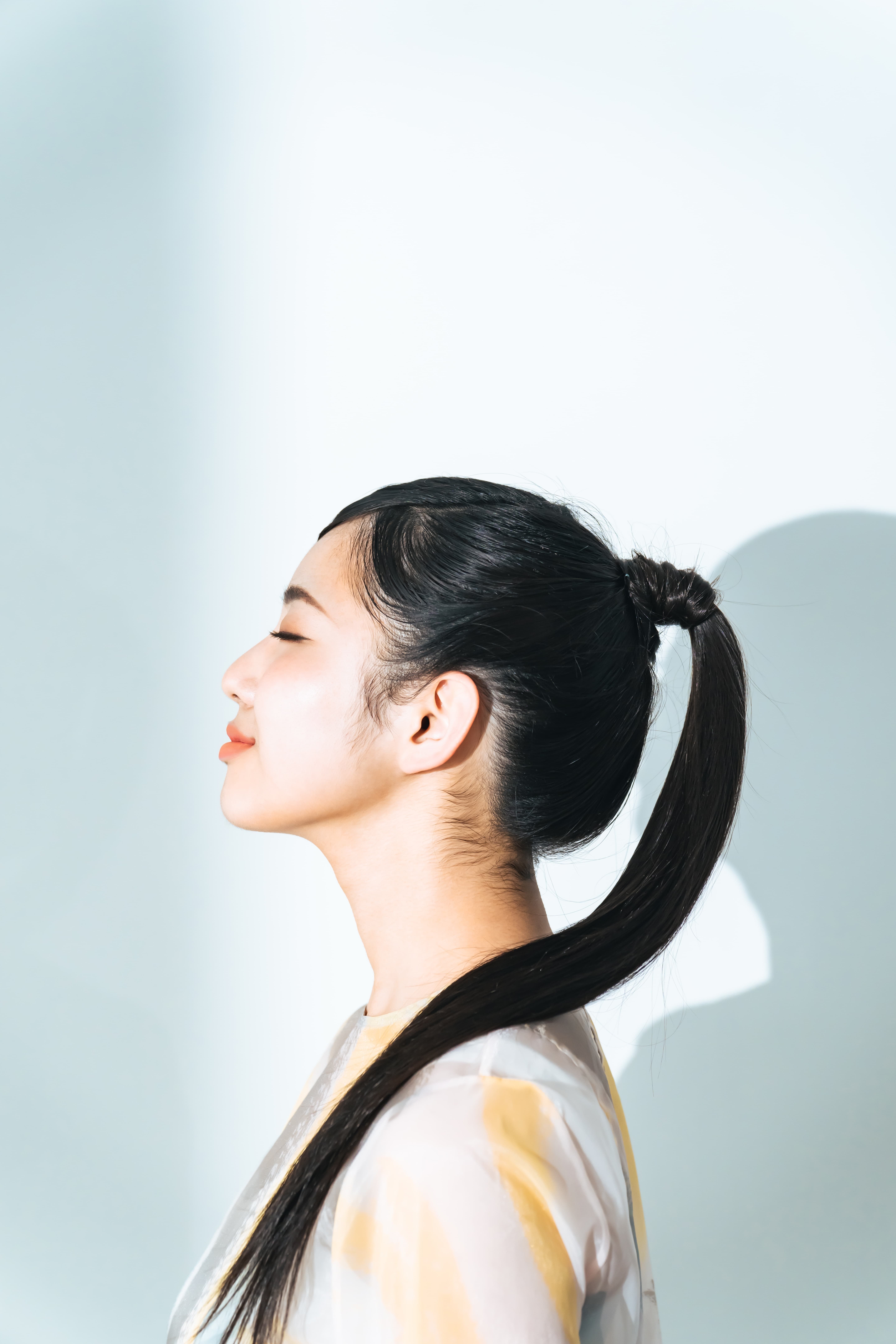 Sleek Ponytail Hairstyle