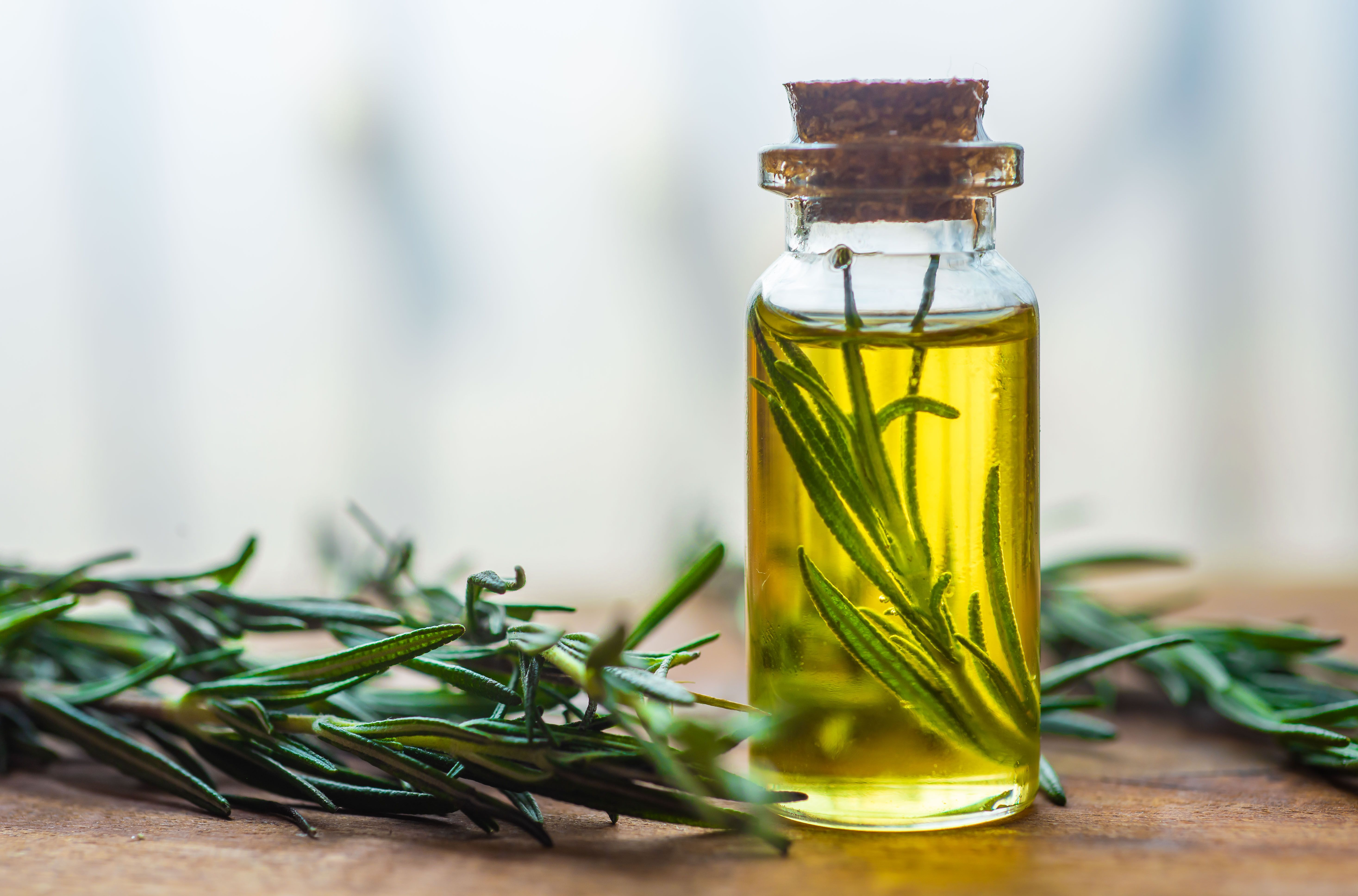 Rosemary oil for hair growth
