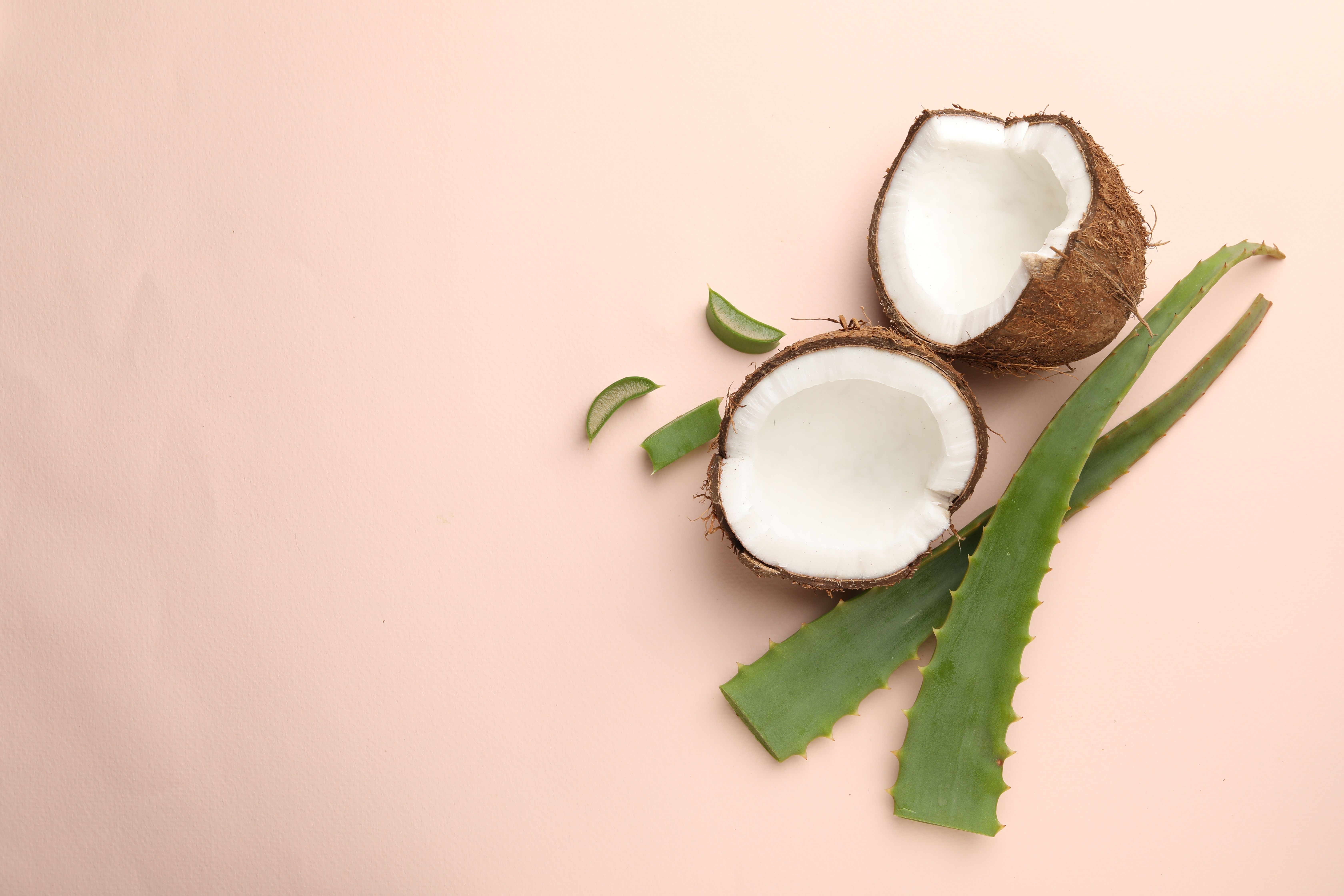 Aloe vera & coconut based hair oil mask