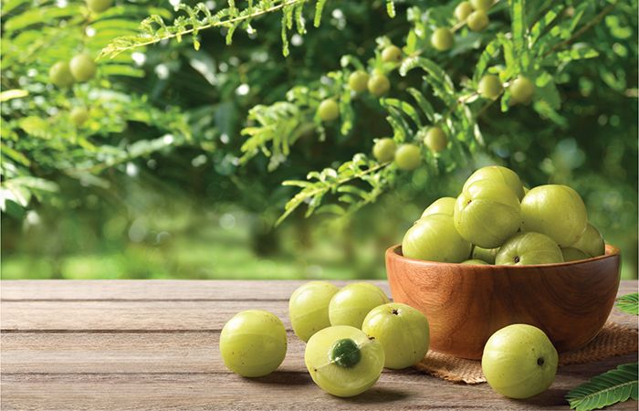 Benefits of Amla for Hair