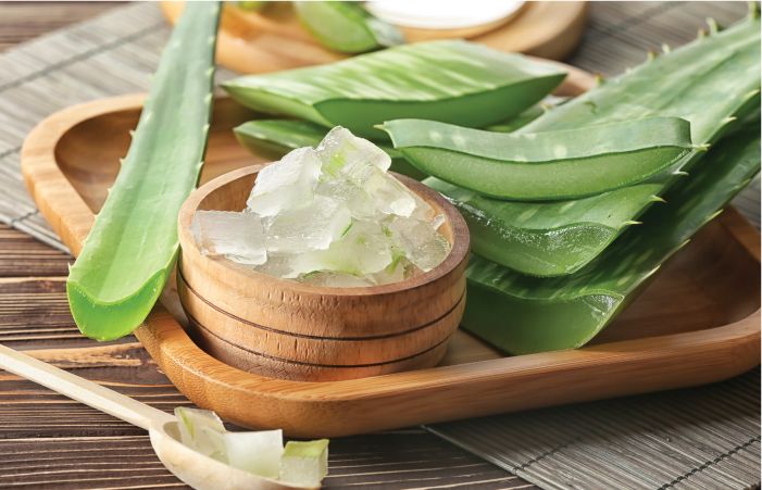 Aloe Vera to help regrow hair naturally