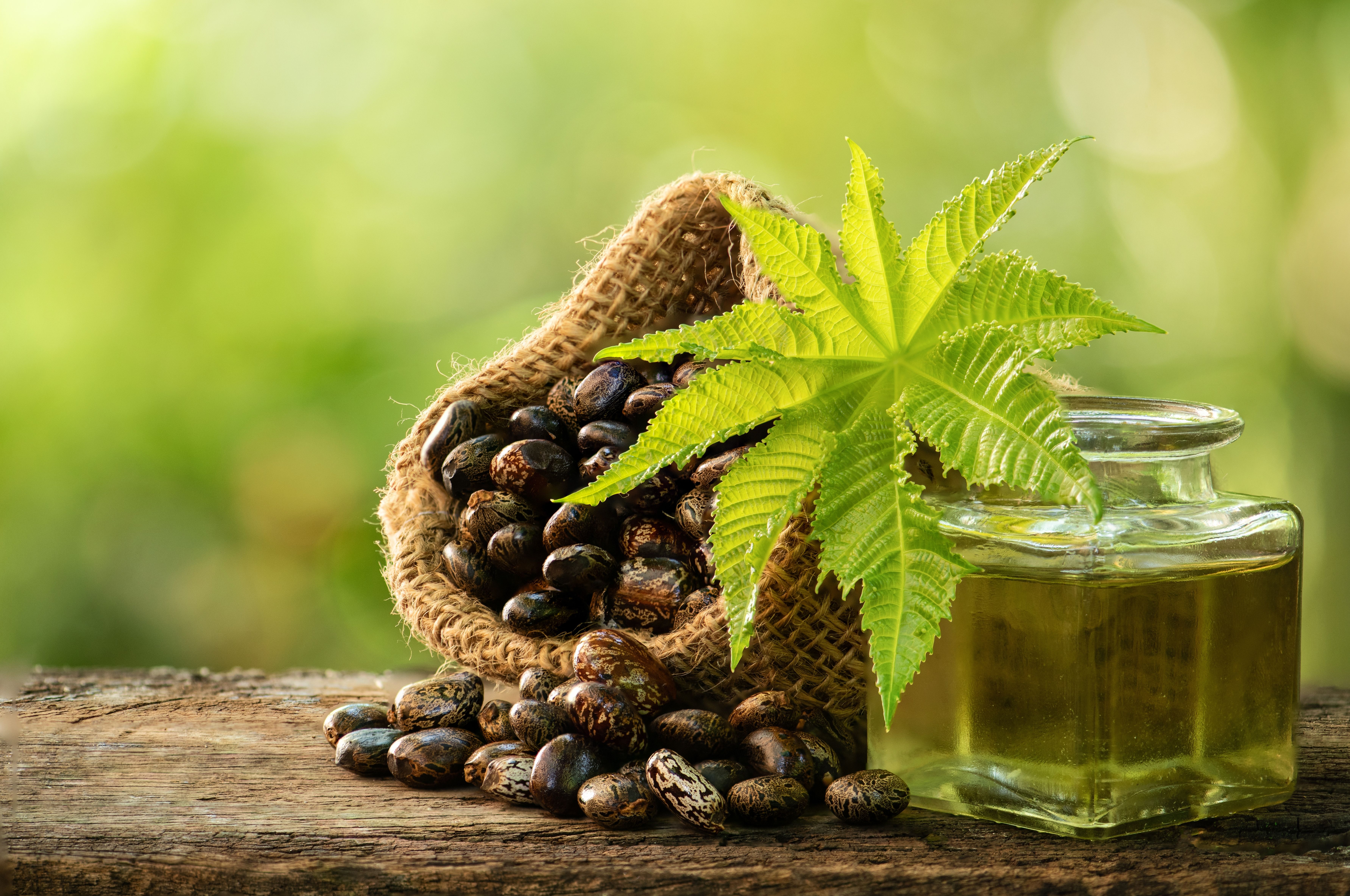 What is castor oil